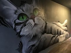 04A Cat mural by Selur Street Art Reykjavik Iceland