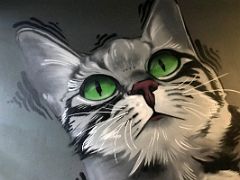 04B Cat mural by Selur detail Street Art Reykjavik Iceland