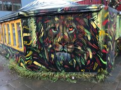 11 Colourful Lion mural by Margeir Dire Street Art Reykjavik Iceland