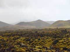 02A Berserkjahraun lava field is over 4000 years old with green moss covered lava and craters Snaefellsnes Peninsula Iceland