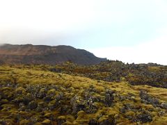 01C Green moss covered lava with Bjarnarhafnarfjall mountain behind driving to Grundarfjordur on Snaefellsnes Peninsula Iceland
