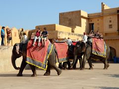 07 Jaipur Arriving At Amber Fort On An Elephant