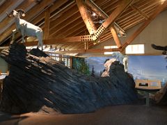 03B Display Of Dall Sheep At The Visitor Centre Just After The Entrance To The Denali National Park Alaska