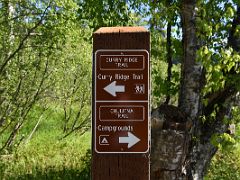 02A We Start Our Hike At The Curry Ridge Trail Sign In Denali State Park Alaska