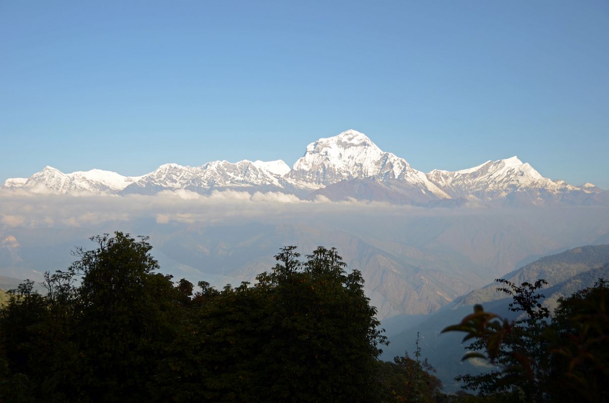 02 Dhaulagiri Himal and Tukuche Peak Just After Leaving Ghorepani On ...