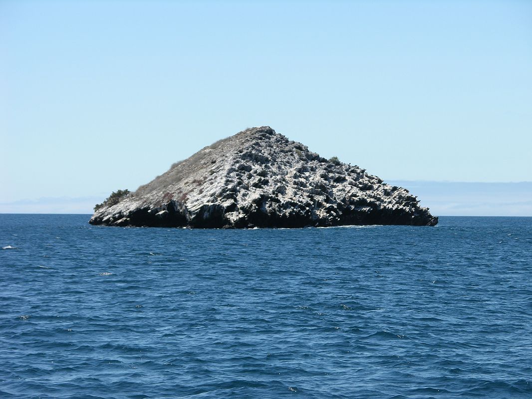 The Rock Galapagos