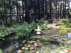 03 A small water garden in front of the large monkey cage in the Hong Kong Zoological and Botanical Gardens