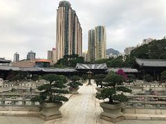 04B Looking across the Lotus Pond Garden to highrises beyond Chi Lin Nunnery Hong Kong