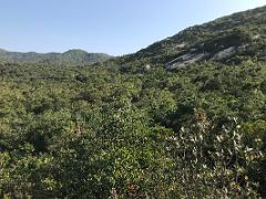 03B The Tree Covered Hills Cover The Trail Ahead Toward Dragons Back Hike Hong Kong