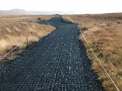 03B A metal walkway protects the flowing grasses in Arnarstapi Snaefellsnes Peninsula Iceland