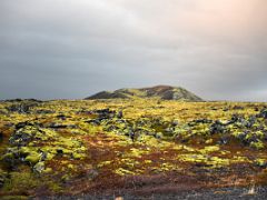 06C Driving thru a green moss covered lava on road 574 in Snaefellsjokull National Park Snaefellsnes Peninsula Iceland