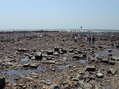 22 Haji Ali Dargah Mumbai At Low Tide You Can Walk Along The Rocks