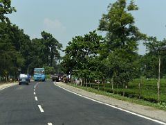 02B A Tea Plantation Is Next To The Highway Just After Leaving Bagdogra Airport For Gangtok Sikkim