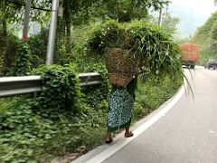 15B Woman Carrying A Basket Of Grass On Her Back Next To NH10 Highway After Leaving Rangpo On The Way To Gangtok Sikkim