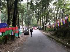 04 Prayer Flags Mark The Short Way From The Namgyal Institute Of Tibetology To The Do Drul Chorten Monastery In Gangtok Sikkim India