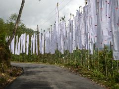 01C Tall White Prayer Flags Welcome Us To Rumtek Gompa Monastery Near Gangtok Sikkim India
