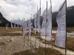 07B White Vertical Prayer Flags Next To The Yumthang River In Yumthang Valley Of Flowers 3564m Sikkim India