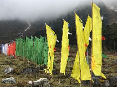 10A Blue, White, Red, Green And Yellow Vertical Prayer Flags Flap In The Wind In Yumthang Valley Of Flowers Sikkim India