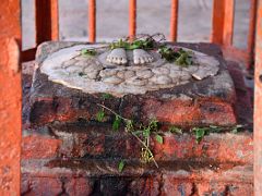 06B Charanpaduka footprints made by Vishnu on a lotus pedestal carved into marble At Manikarnika Ghat Varanasi India