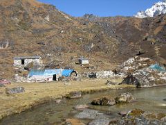 Kangchenjunga 05 01 Sele La Camp We trekked back to Kambachen one day and then the next day to Ghunsa and up to Sele La. Sele La camp (4290m) is situated in an idyllic setting with a few…