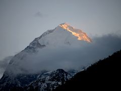 10A Pandim At Sunrise From Tshoka On The Goecha La Kangchenjunga Trek