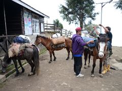 08B Pemba Rinjii And Tenzing Unload The Horses At Tshoka On The Goecha La Kangchenjunga Trek