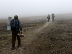 06A Trekking In Foggy Weather Between Thangsing And Lamuney On The Goecha La Kangchenjunga Trek