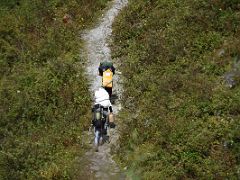 04A The Porters Start The Trek To Tallem On Day 1 Of The Green Lake Trek To Kangchenjunga East Face Sikkim India