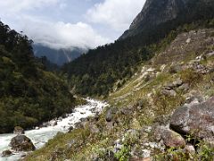 06A The Zemu Chu River Flows Next To The Trail On Day 1 Of Green Lake Trek To Tallem To Kangchenjunga East Face Sikkim India