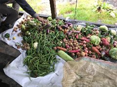 06A Our Vegetables Laid Out On A Mat At Jakthang Camp On Day 2 Of The Kangchenjunga East Face Green Lake Trek