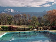 04A Mount Kilimanjaro Kili And Mawenzi Peak Reflected In The Water Of The Moshi Tanzania YMCA Pool On The Way To Climb Kili Kilimanjaro