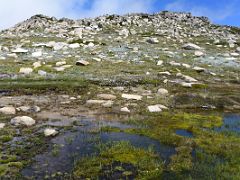 03A Water Next To The Trail Toward Rawsons Pass On The Mount Kosciuszko Australia Hike