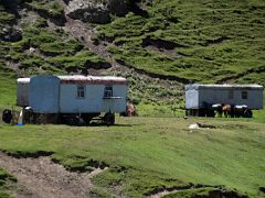 09B Nomad trailers and horses just before Taldyk Pass on the way to Lenin Peak Base Camp