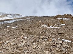 04B The steeper section of the trail leads to the summit of Yuhin Peak 5100m on the way from Ak-Sai Travel Lenin Peak Camp 1 4400m