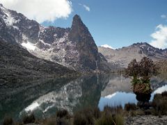 08B Point John Centre With Giant Groundsel And Hut Tarn On The Mount Kenya Trek October 2000