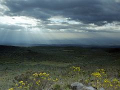 05A Afternoon View From Judmaier Camp (Old Moses Camp) On The Mount Kenya Trek October 2000