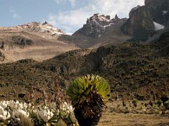 03B Pt Lenana On Left, Pt Thomson, Krapf Rognon Late Afternoon From Shipton Camp On The Mount Kenya Trek October 2000