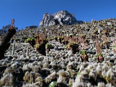 01A Trekking From Shipton Camp Toward Hausburg Col With Pt Thomson Left, Krapf Rognon And Mount Kenya On The Mount Kenya Trek October 2000