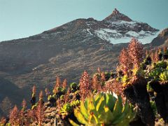 01D Looking Across At Point Lenana On The Trek From Shipton Camp To Hausburg Col On The Mount Kenya Trek October 2000