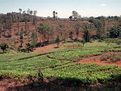 09B Farms Appear As We Near The End Of The 24km Jeep Track From Chogoria Camp Toward Chogoria Gate On The Mount Kenya Trek October 2000