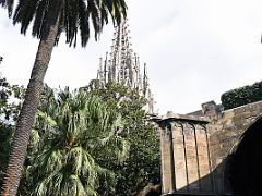 09A The cloister has 13 white geese - Eulalia was 13 when she was martyred Barcelona Cathedral Spain