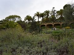 03C Trees, plants and flowers with one of the viaducts above Parc Guell Barcelona Spain