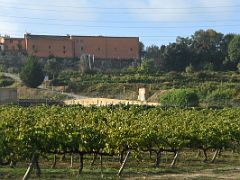 01D Driving by wine vines at Sant Sadurni Penedes wine tour Cavas Codorniu Near Barcelona Spain