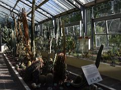 16 The Desert House Has Cactus Botanical Garden Real Jardin Botanico Madrid Spain