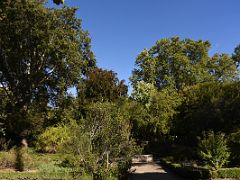 17C Trees Botanical Garden Real Jardin Botanico Madrid Spain