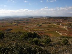 09A Fields And Vines Panoramic View Near Abalos On Rioja Wine Tour South Of San Sebastian Donostia Spain