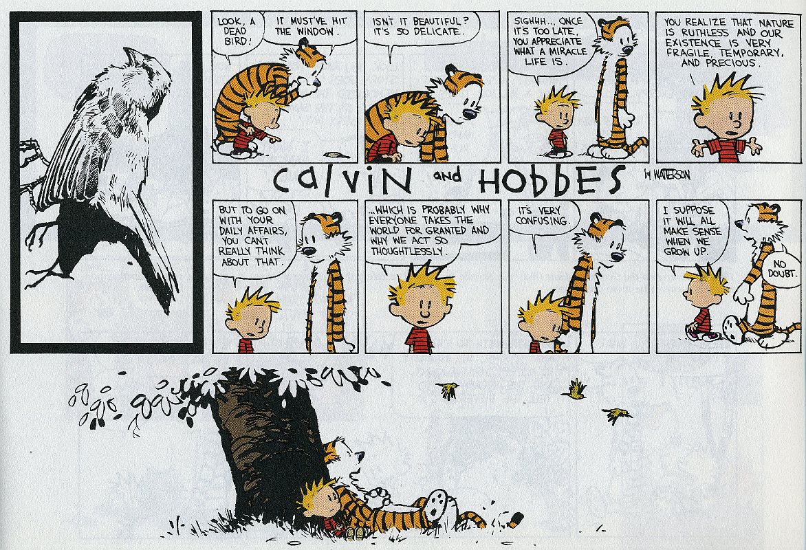 11 Calvin And Hobbes - Life Is A Miracle