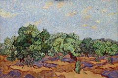 Olive Trees, Vincent van Gogh