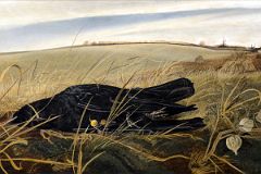 24 Winter Fields - Andrew Wyeth 1942 Whitney Museum Of American Art New ...