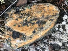 04B A Rock With Some Colourful Green Lichen On Bylot Island On Day 3 Of Floe Edge Adventure Nunavut Canada